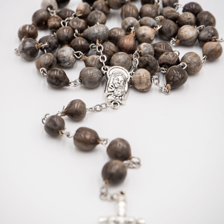 Różaniec łzy Hioba - łzawica ogrodowa