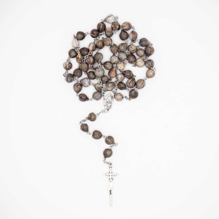 Różaniec łzy Hioba - łzawica ogrodowa